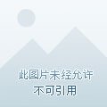 陛下,賤笑了